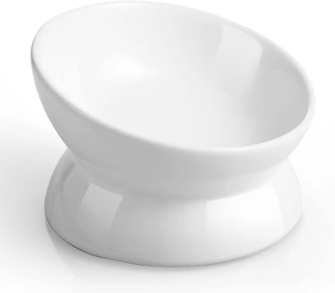 Elevated Cat Food Bowl, 5 Oz Ceramic Raised and Tilted Water Bowl, Anti Vomiting and Protect Pets' Spines Dishes for Small Dog,