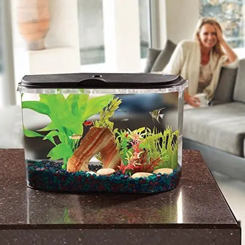 5-Gallon Aquarium Kit with LED Lighting and Power Filter for Tropical Fish