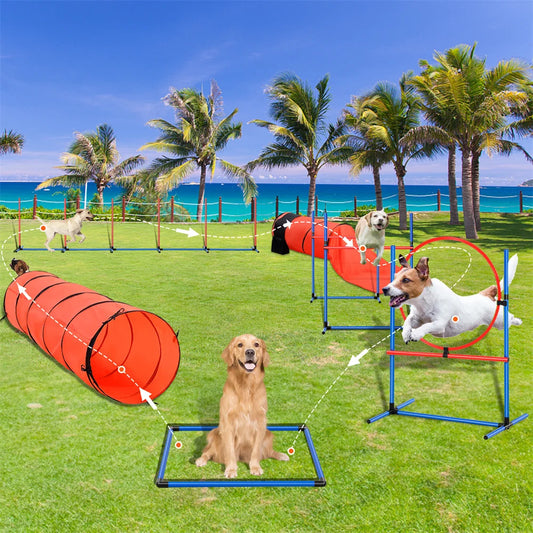 Dog Agility Training Equipment 7 PCS Set Upgrade W Hurdles 2 Tunnels Ring