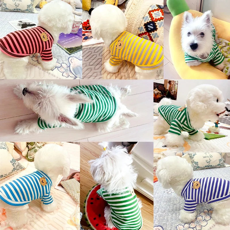 Summer Pet Clothes Bear Print Stripe T-Shirt French Bulldog Bichon Vests Luxury Dog Clothing Cat Thin shirts Dog Costume